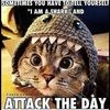 miranda_solis